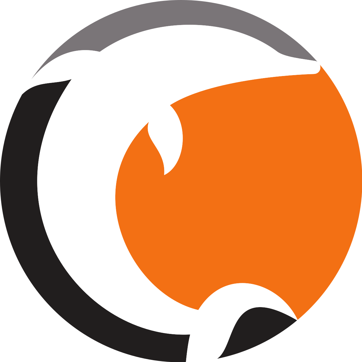 诺科平海豚 队徽