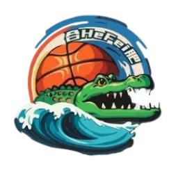 合肥文旅女队 队徽